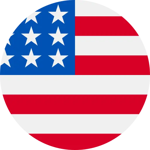 United States Flag Icon